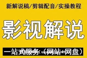 嚴如意·中视频影视解说—掌握流量密码价值980元