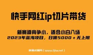 爆火的快手网红IP切片，号称日佣5000＋的蓝海项目