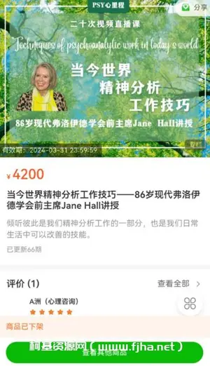 当今世界精神分析工作技巧——Jane Hall讲授