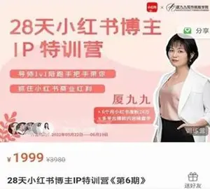 厦九九·28天小红书博主IP特训营《第7期》