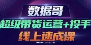 数据哥·超级带货运营+投手线上速成课价值4980元