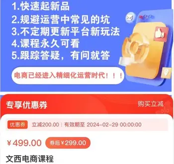 文西电商课程,规避运营中常见的坑价值499元