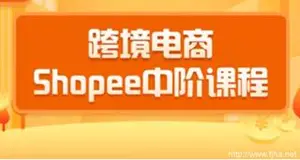 千鸟跨境电商蓝海新机会-shopee中阶课程下载