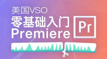 高高手:美国VSO:零基础入门Premiere+素材完整89节教程价值198元