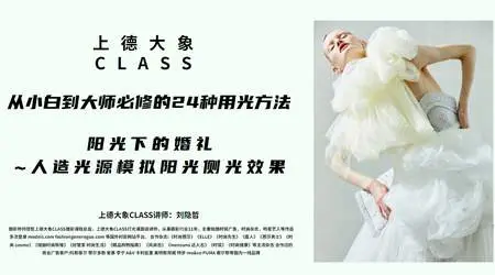 上德大象CLASS从小白到大师必修的24种人像用光摄影布光教程