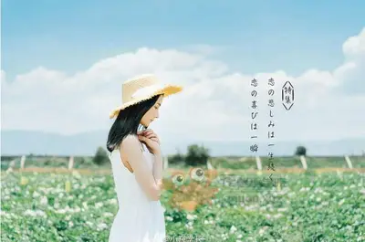 微博网红摄影师小巍学长摄影课14期教程[正课15节]价值1999元