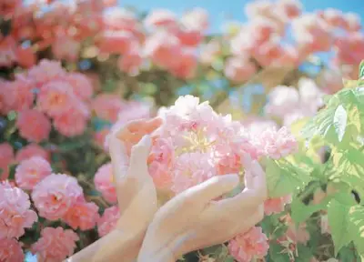 overwater摄影第二期[画质高清]