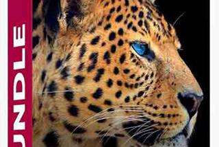 Rikard Rodin PS后期合成调色教程/背景纹理/笔刷素材23套完整包