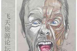 国外大师人体面部肌肉结构传统手绘视频教程上下部-CG原画|插画|鼠绘