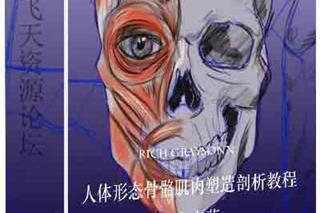 Rich Graysonn-人体形态骨骼肌肉塑造剖析大师级教程-中文字幕-CG原画|插画|鼠绘