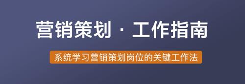 赵宁营销策划工作指南