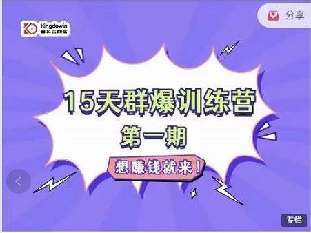 金抖云PETER《15天群爆训练营》