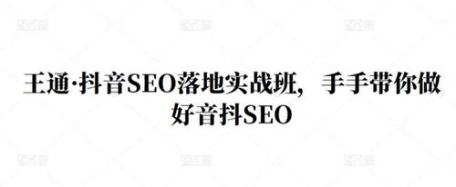 王通·抖音SEO落地实战班，手‬手带你做好抖音‬‬SEO