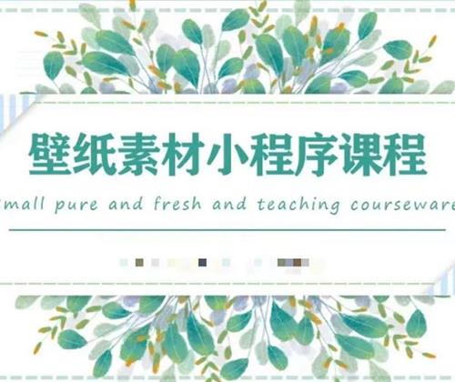 闪闪壁纸号运营教程