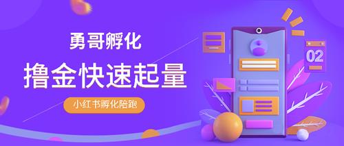 勇哥·小红书撸金快速起量陪跑孵化营视频