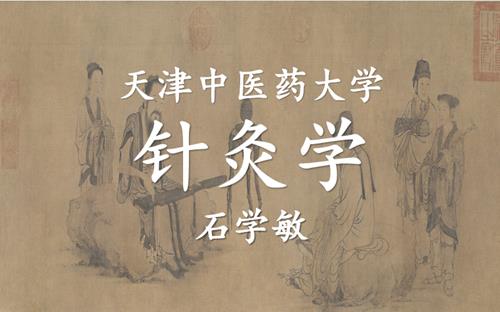 石学敏-针灸学 天津中医药大学 123讲