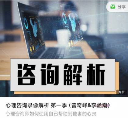 曾奇峰李孟潮 《心理咨询录像解析 第一季》高清视频+文稿