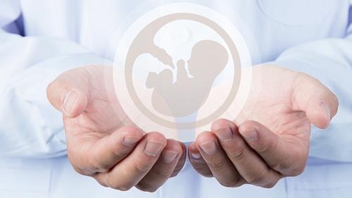 段涛 产科医学课