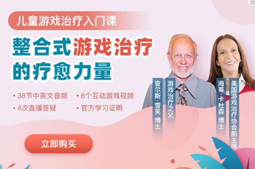 当代游戏治疗的疗愈力量与处方式游戏治疗38讲 音频+文档