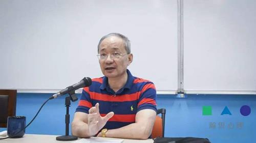 李鸣：精神分析视角下的治疗主题（28讲）