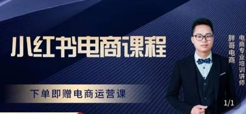 胖哥·小红书电商课程，解决小白做小红书电商时的困惑，让新人也一台手机也能做电商
