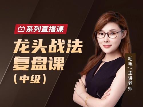 毛毛老师龙头战法复盘课（中级）