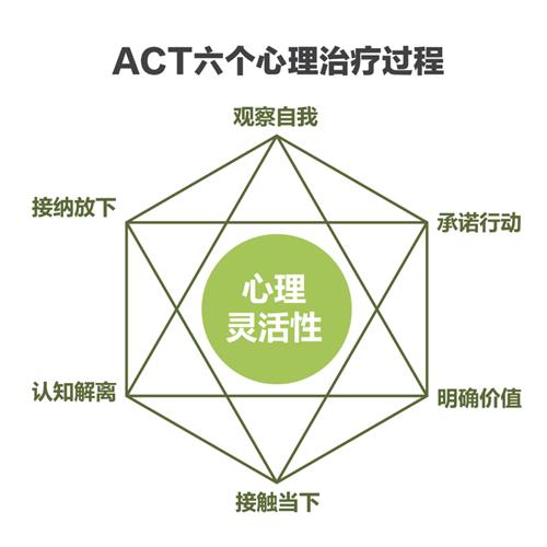 ACT疗法实录与访谈（创始人亲授）
