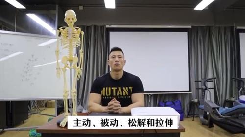全身肌群——主动被动松解拉伸