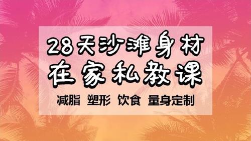 周六野-28天沙滩身材挑战减肥训练