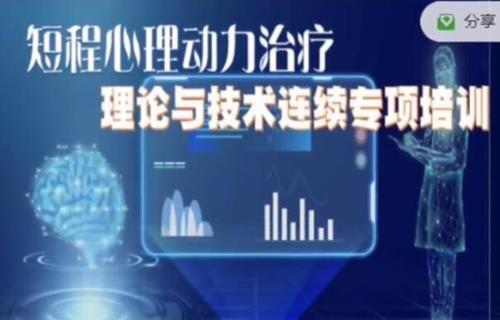 「国合基地」Anne Mckay 短程心理动力治疗理论与技术连续专项培训 8次讲座不含督导