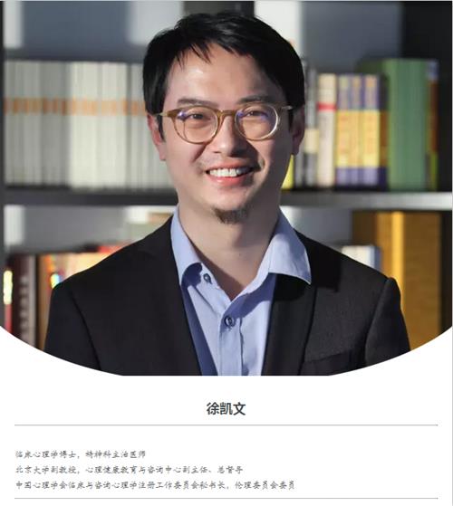 徐凯文精神分析取向心理治疗初中级