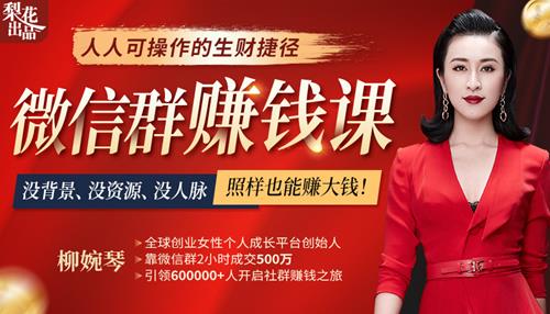 柳婉琴《微信群赚钱课》从月薪2000到月入过万