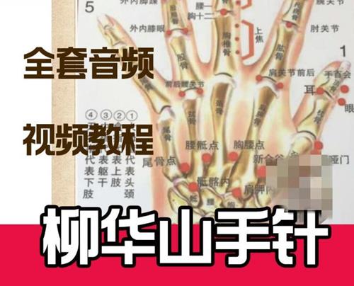 柳华山手针教学-民间中医技法研究会柳华山手针讲课音频近100集