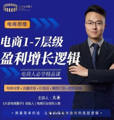 大圣：电商1-7层级盈利增长底层逻辑课