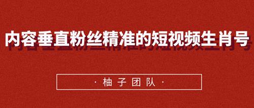 内容垂直粉丝精准的短视频生肖号，小众领域简单操作月入10000+