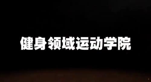 崔振浩训练实战教学课程