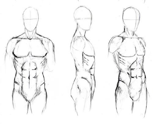 【小粉菇】人体骨骼肌肉理解篇之动漫人物绘画基础课程