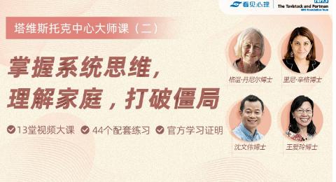 掌握系统思维，理解家庭，打破僵局