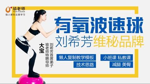 刘希芳大弟子大宝 维秘波速球大全有氧套路精品课