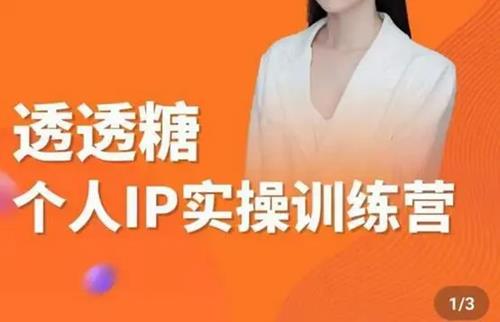 透透糖2023个人IP实操训练营，基础准备+短视频实操+高手进阶+变现落地+数据+电商