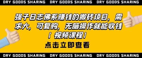 强子日志佛系赚钱的搬砖项目
