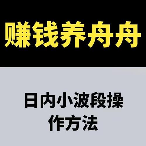 赚钱养舟舟 日内小波段操作方法 期货课程