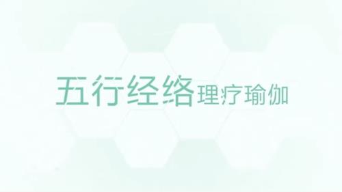 【养生理疗】五行经络瑜伽教学 共6节