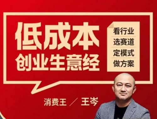 王岑：低成本创业生意经