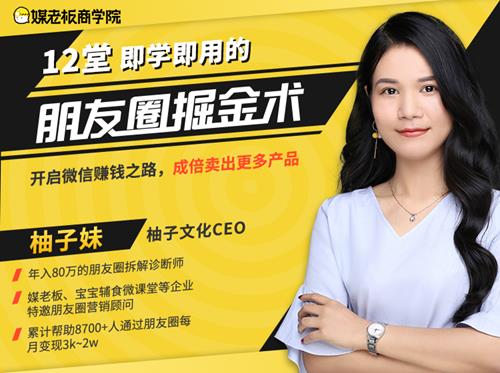 12堂朋友圈掘金术：开启副业赚钱之路，成倍卖出更多产品！