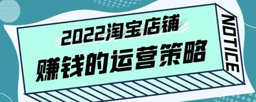 震宇老师·2022年淘宝店铺赚钱的运营策略，全店动销策略