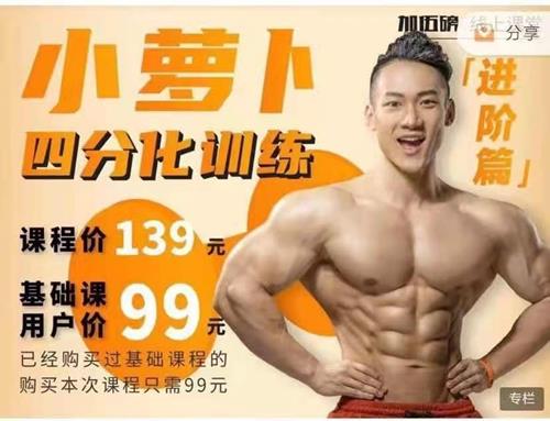 小萝卜四分化训练（进阶版）