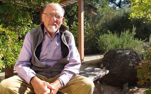 【欧文·亚隆亲授】团体治疗实录与访谈|100%还原现场×10讲 视频课