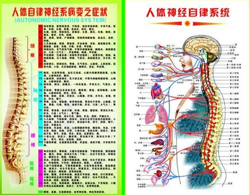 私人健身教练常用图表