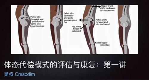 王昊全新体态矫正-体态评估与康复